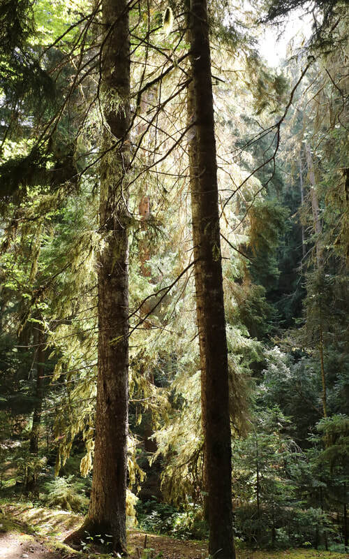 February 2025: Scientists: the Green Deal needs to be urgently revived