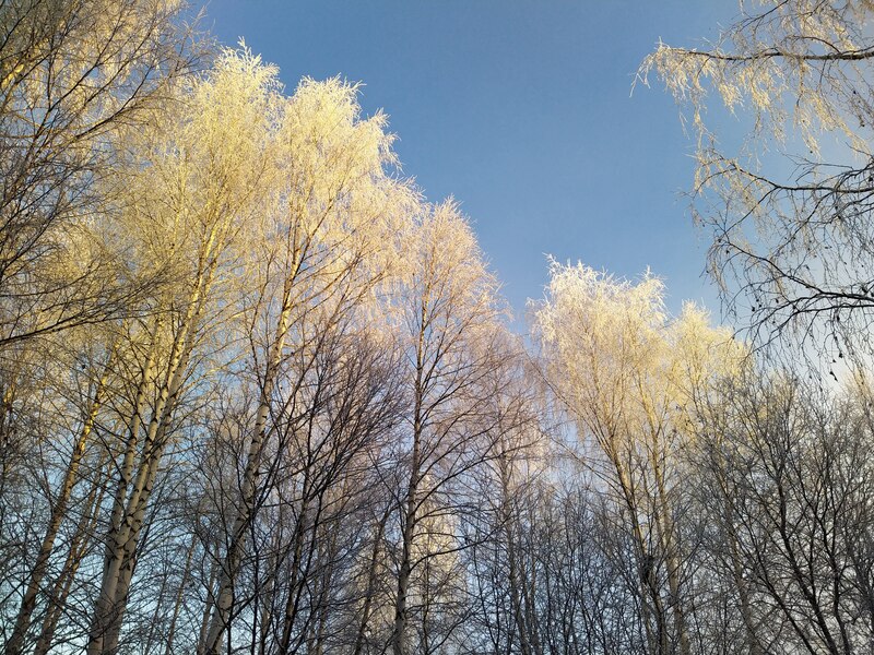 Scientists support the EU's Green Deal 