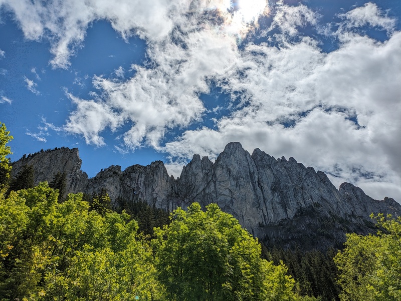 European Commission, urging the EC to adopt a roadless policy