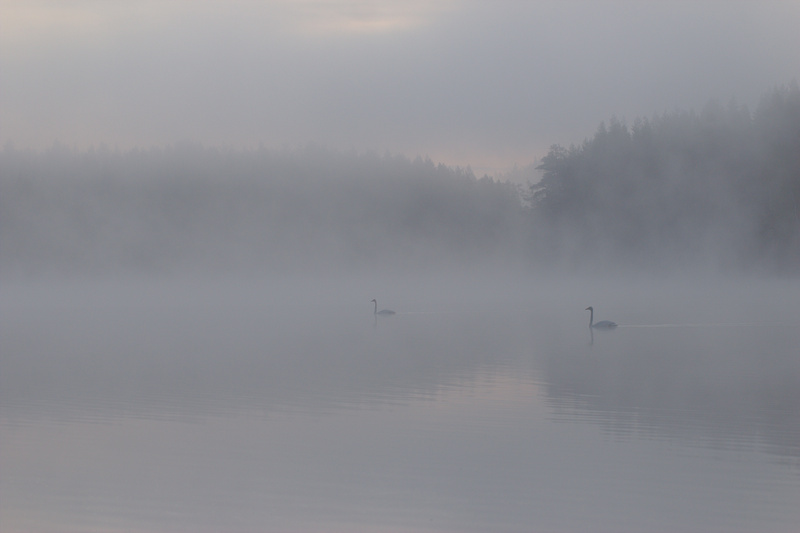 SCB Europe NEWSLETTER WINTER 2025